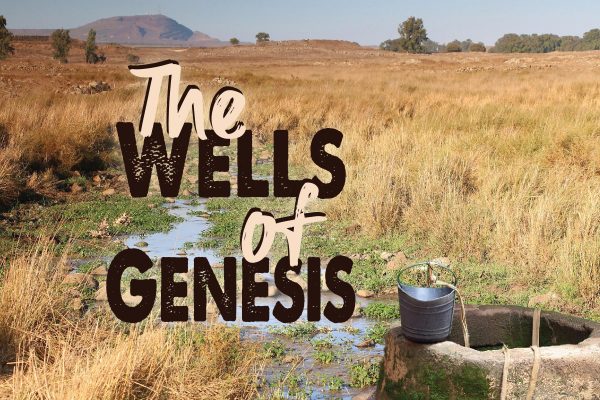 The Wells of Genesis